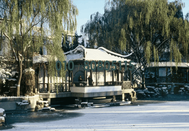 东湖·生活志|东湖数九歌,静待春信至